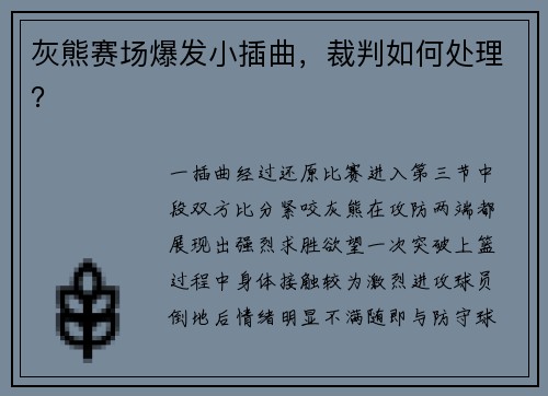 灰熊赛场爆发小插曲，裁判如何处理？